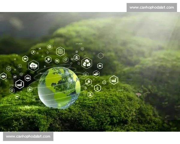 五水共治助力生态文明建设 促进绿色发展与可持续未来