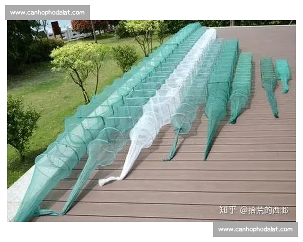 全新捕鱼比赛规则解析与技巧分享助力选手提升比赛水平