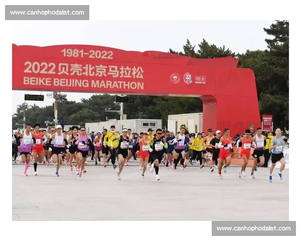 北美体育赛事精彩纷呈 深度解析各大联赛与比赛背后的故事与数据