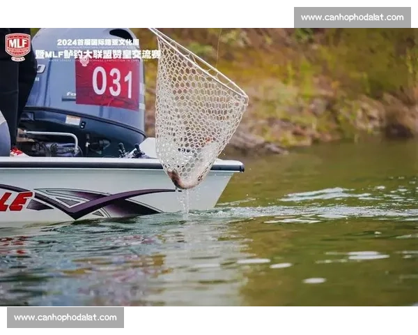 国内顶级钓鱼比赛精彩回顾与选手实战技巧全解析