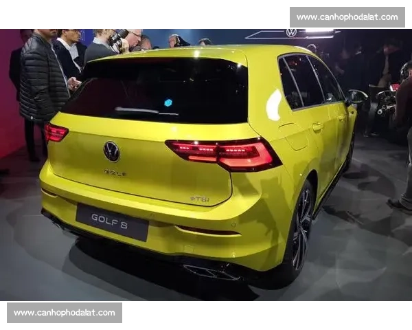 大众高尔夫赛场精彩瞬间回顾与技术解析全纪录