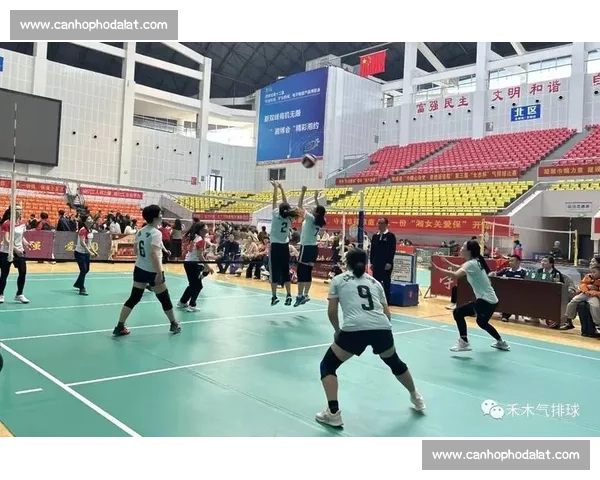 如何培养专业眼光全面欣赏排球比赛的精彩与技巧