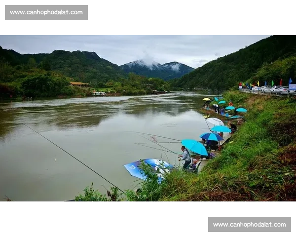 富宁钓鱼比赛精彩回顾：水域竞技与垂钓文化的完美融合