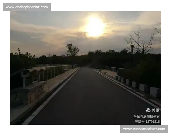 广州盛夏钓鱼竞技大赛精彩纷呈渔趣无限欢乐体验