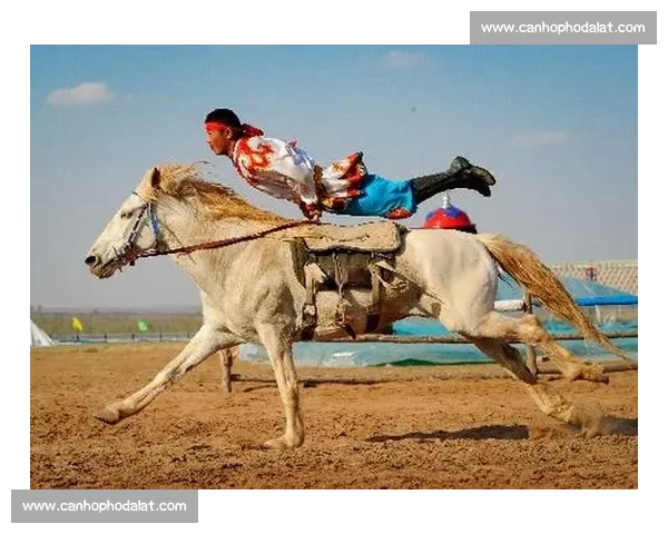托马斯大比赛精彩纷呈 热血车轮竞速背后的团队合作与智慧较量