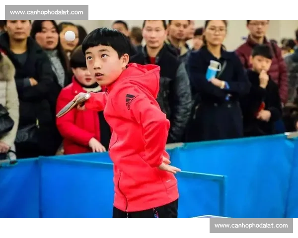 李龙大精彩赛事回顾及技术分析：羽毛球场上挥洒自如的冠军风采