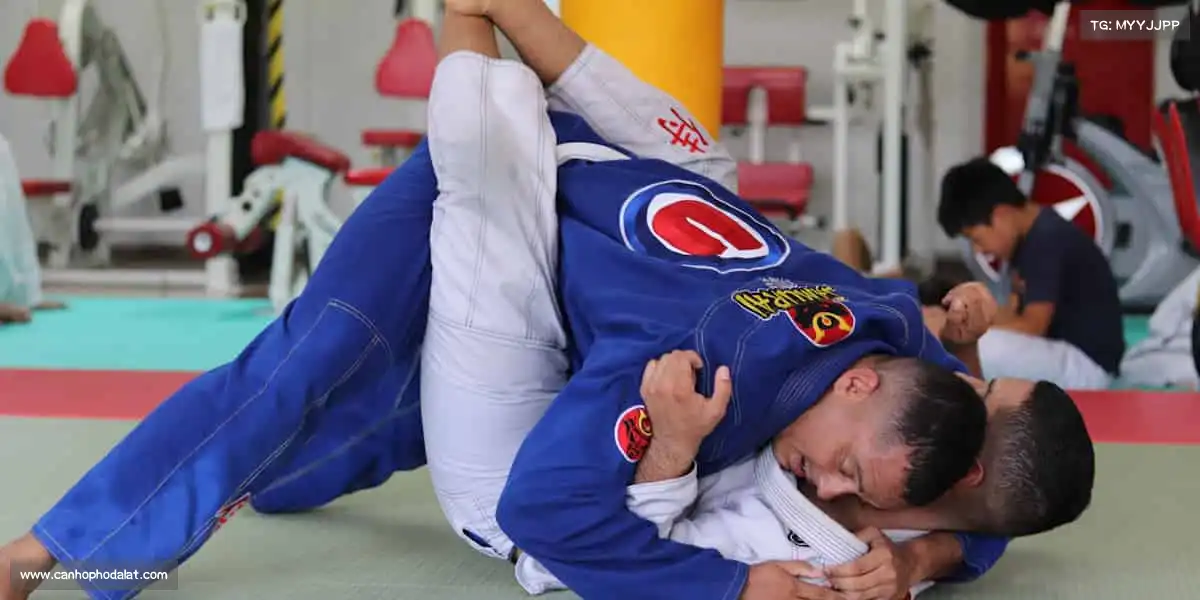 为什么选择我们